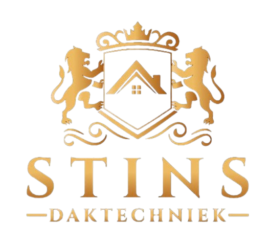 STINS Logo